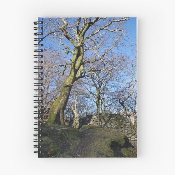 Artikelvorschau, Mawddach Trail No1 entworfen und verkauft von StephenRB.