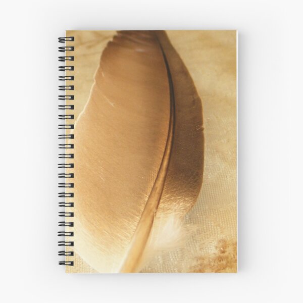 Aperçu de l'œuvre Feather, tool to help birds in flight créée et vendue par andreuch.