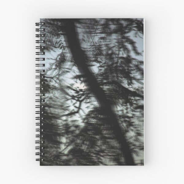 Aperçu de l'œuvre Strange Forest créée et vendue par Timothy Wilkendorf.