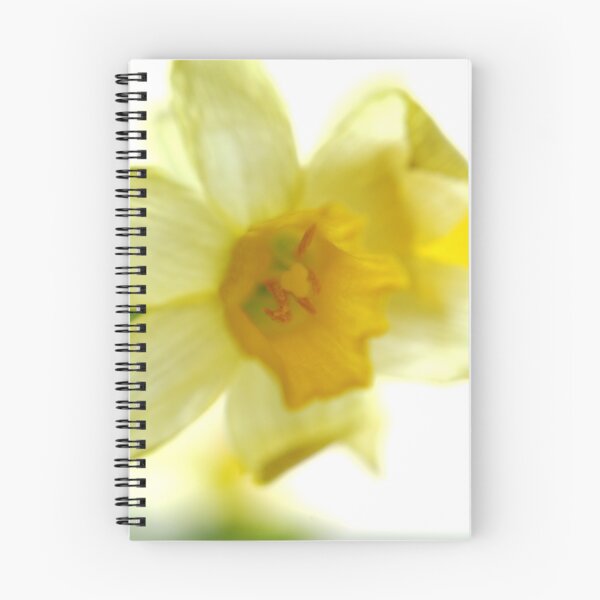 Item preview, Daffodil Sun designed and sold by TriciaDanby.