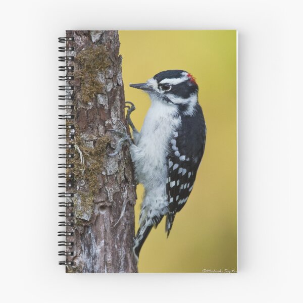 Item preview, Downy Woodpecker designed and sold by PixlPixi.