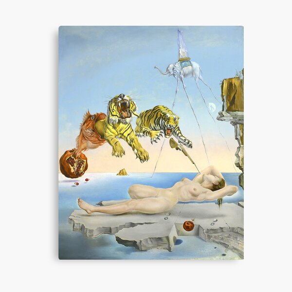 Salvador dali Canvas Print