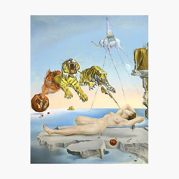 Salvador dali Photographic Print