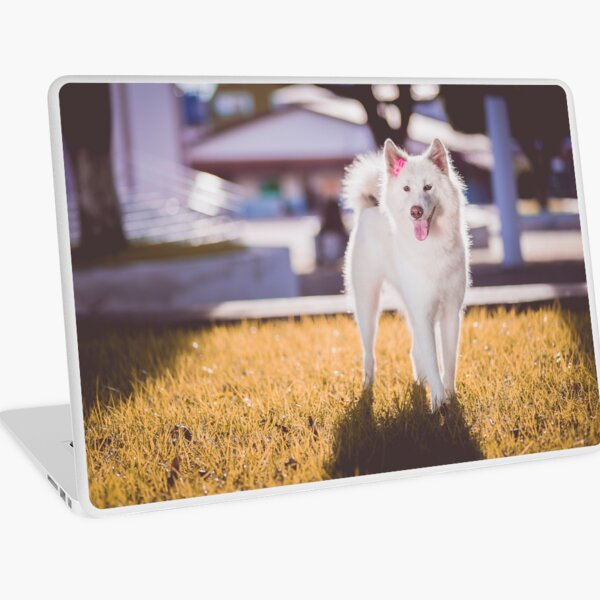 Lady dog Akita Laptop Skin