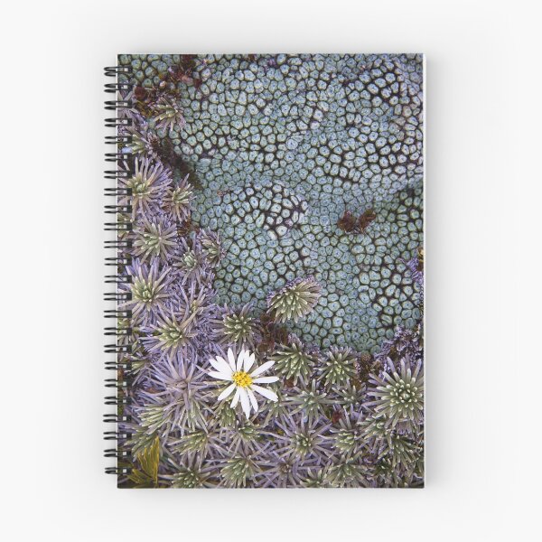 Item preview, Alpine Vegetation designed and sold by sueham.