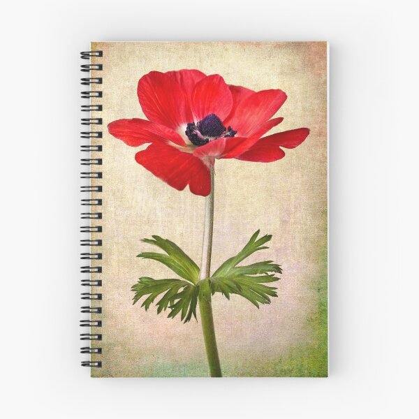 Item preview, Solo designed and sold by Leslie Nicole.