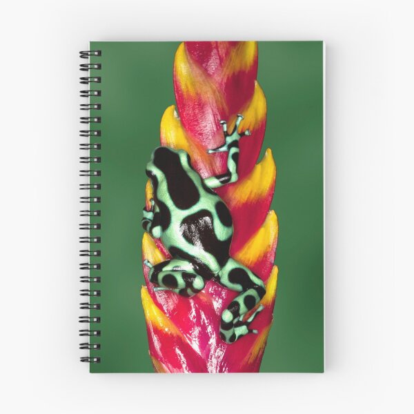 Item preview, Peek-A-Boo designed and sold by Janet Fikar.