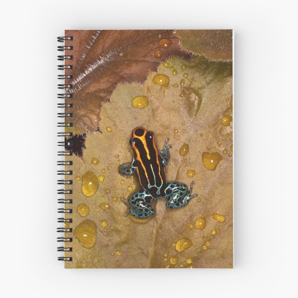 Item preview, Colors of Nature designed and sold by Janet Fikar.