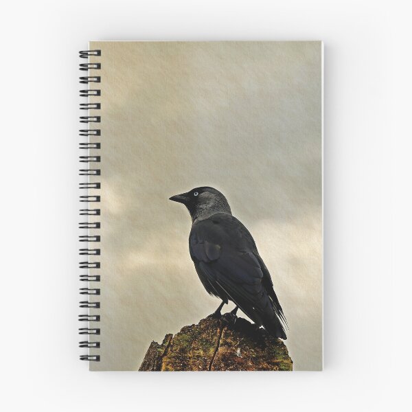 Item preview, Jackdaw  (Corvus monedula) designed and sold by buttonpresser.