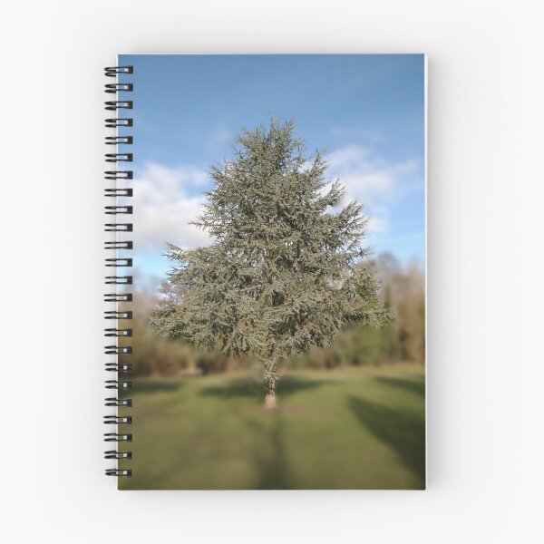 Item preview, Conifer designed and sold by days-photographic.