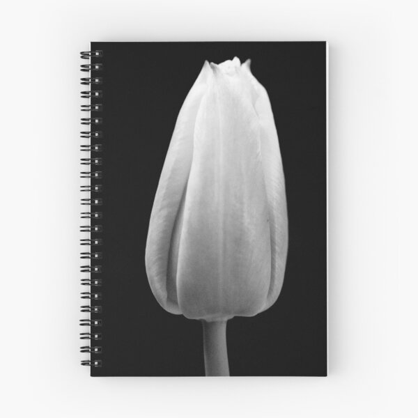 Item preview, Tulip in black and white designed and sold by mltrue.