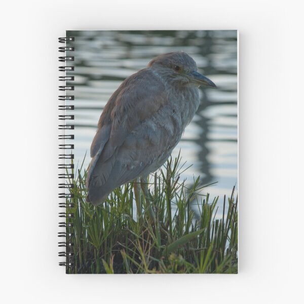 Artikelvorschau, Night Heron entworfen und verkauft von Ed Hamlin.