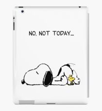 No, not today. iPad Case/Skin