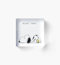 No, not today. Acrylic Block