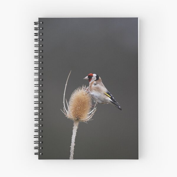 Item preview, goldfinch designed and sold by stephen  barber.