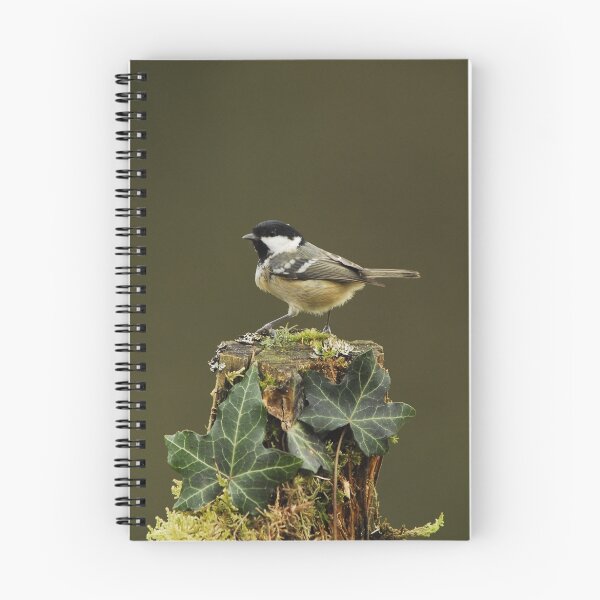 Item preview, feeding bird designed and sold by stephen  barber.
