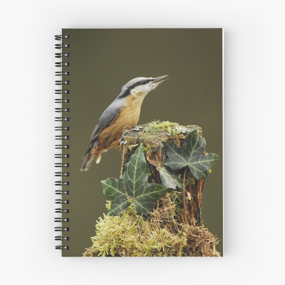Item preview, Spiral Notebook designed and sold by stevebar.