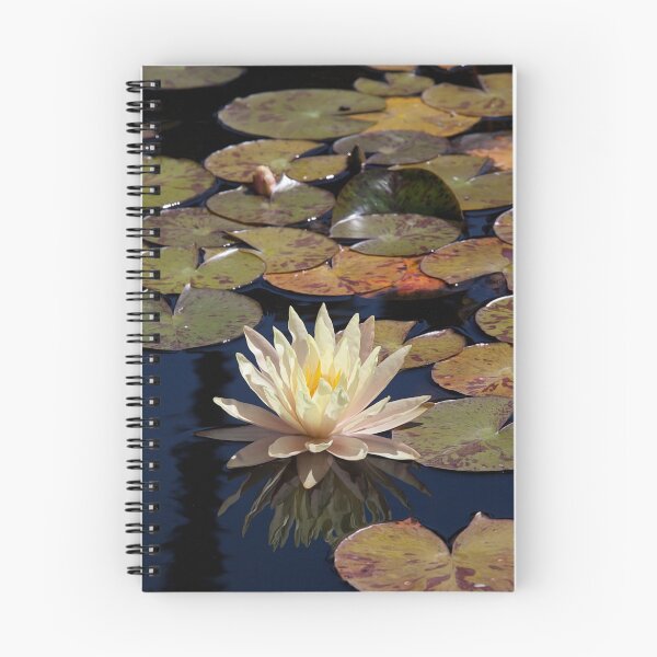 Item preview, Mission Fountain Water Lily (San Juan Capistrano Spanish Mission, California)  designed and sold by Brendon Perkins.