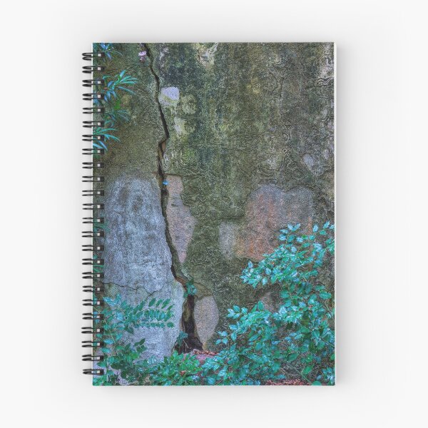 Item preview, Crack in the Foundation (Carmel Spanish Mission, California) designed and sold by Brendon Perkins.