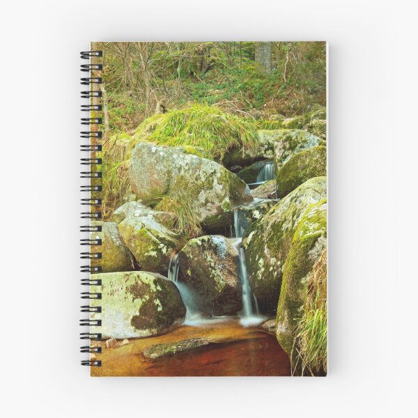 Artikelvorschau, Forest Waterway entworfen und verkauft von Martina Fagan.