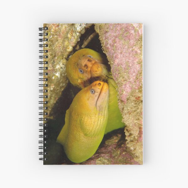 Green Moray Eels - Gymnothorax prasinus Spiral Notebook
