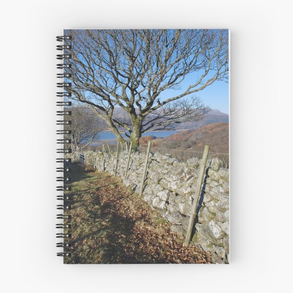 Item preview, On the Mawddach Trail No2 designed and sold by StephenRB.