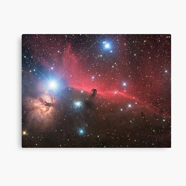 Horsehead Nebula Canvas Print
