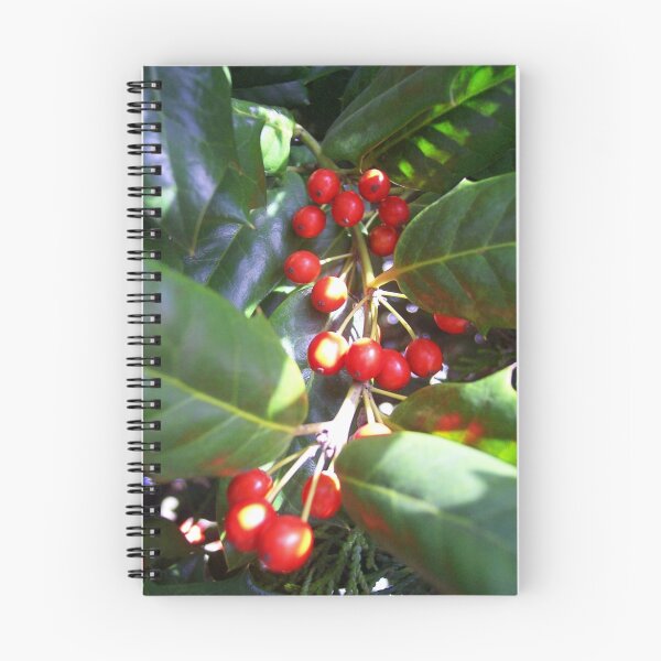 Aperçu de l'œuvre Winter berries créée et vendue par Nella Khanis.