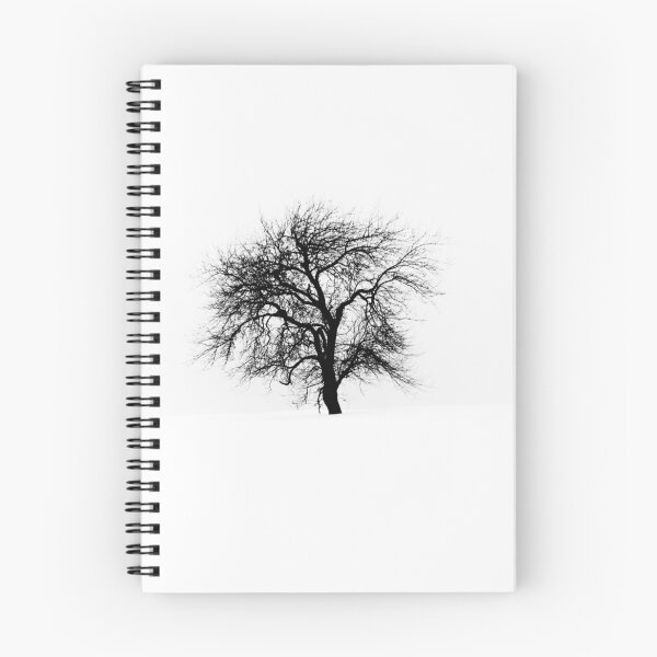 Aperçu de l'œuvre Winter Tree créée et vendue par Charles Plant.