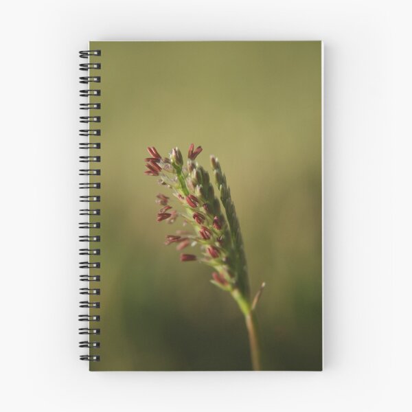 Item preview, I've got that grassy feeling (Free State, South Africa) designed and sold by Mauds.