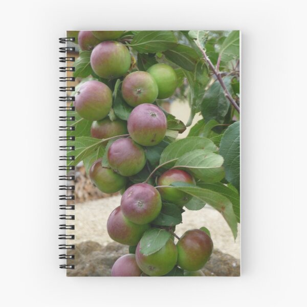 Item preview, Loaded designed and sold by DEB CAMERON.