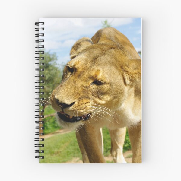 Item preview, Lioness designed and sold by AlMiller.