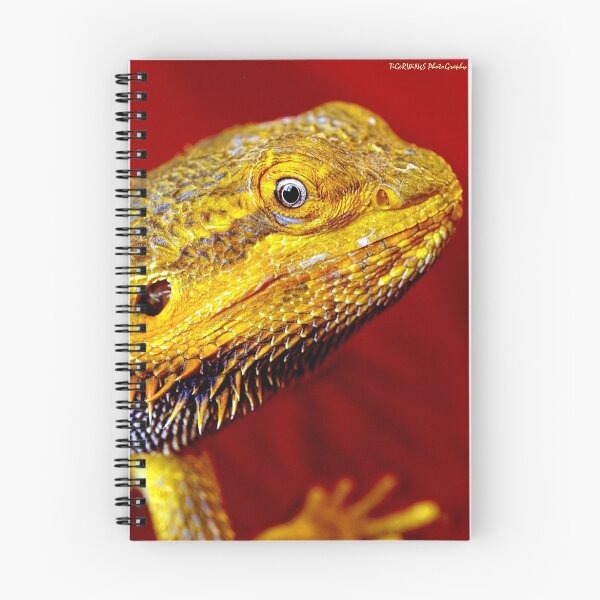 Aperçu de l'œuvre Dragons' Portrait créée et vendue par tigerwings.