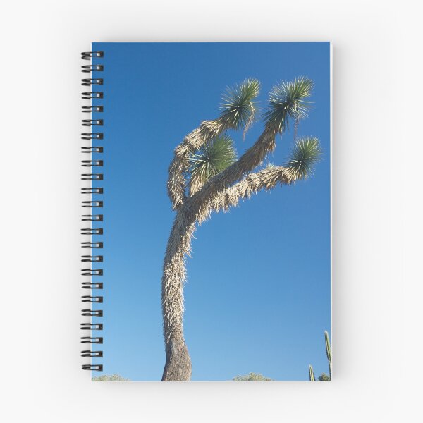 Aperçu de l'œuvre Cactus Tree créée et vendue par Joe Bashour.