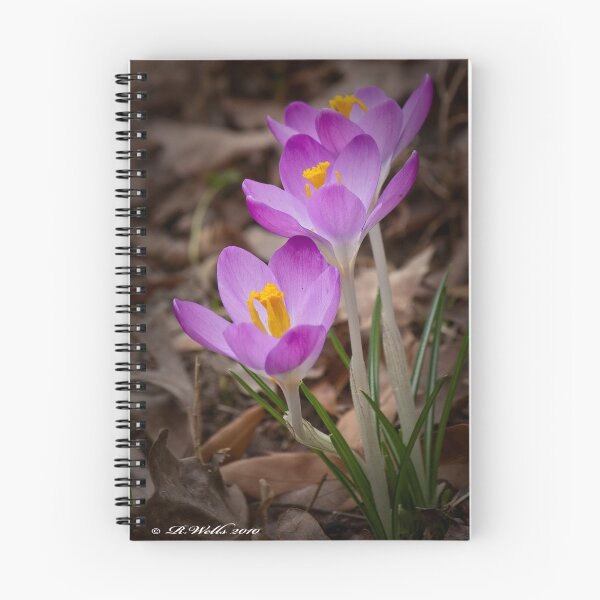 Item preview, Spring on The Way designed and sold by Ray Wells.