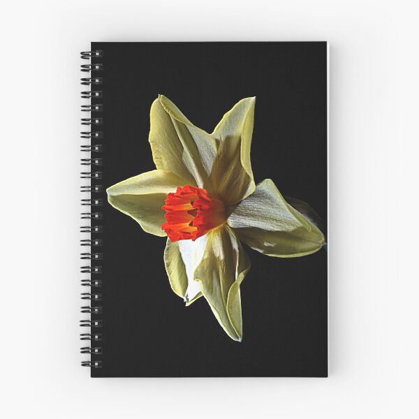 Item preview, Daffodil head designed and sold by Doug McRae.