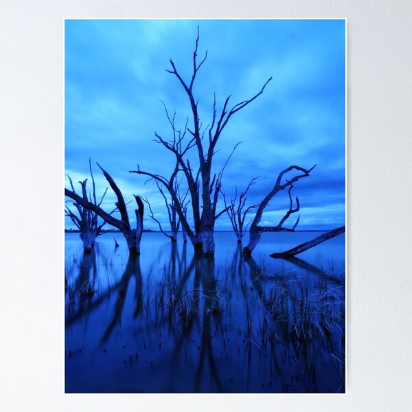 Item preview, Reflexiones del lago en un día azul designed and sold by dtdownunder.