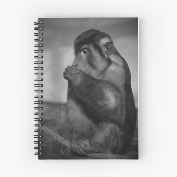 Item preview, thumb sucking  designed and sold by Miodrag Konstantinov.
