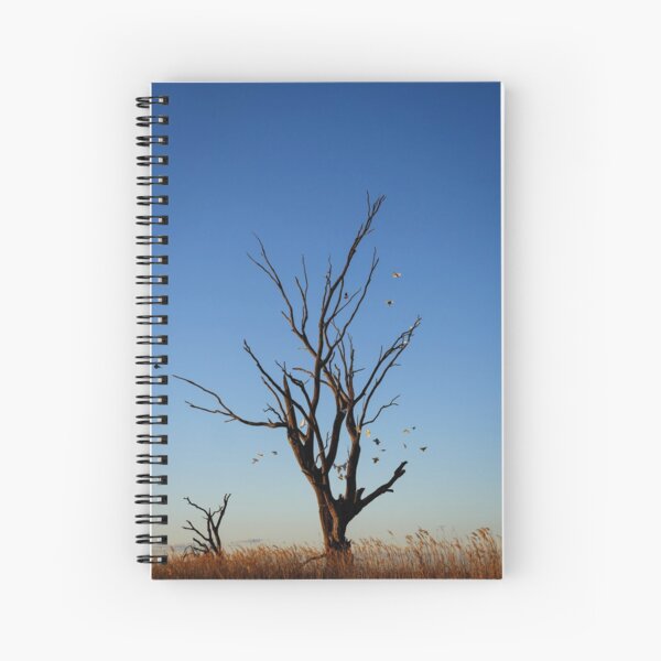 Birds of a feather fly together Spiral Notebook