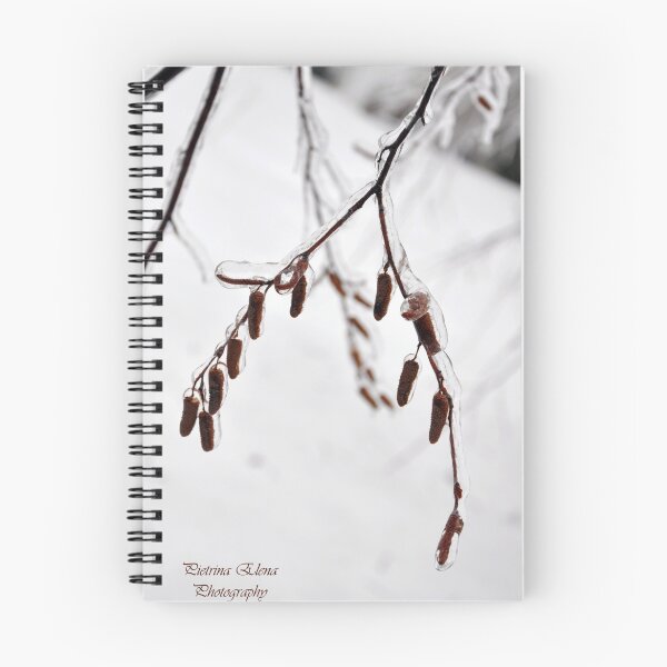 Item preview, Hang in there.........winter is almost over! designed and sold by Pietrina Elena Photography.