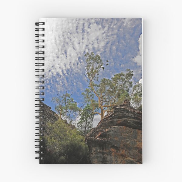 Item preview, Dunn's Swamp - Kandos NSW Australia designed and sold by Bev Woodman.