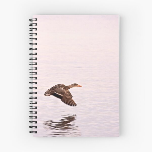 Item preview, In Flight designed and sold by Jessica Dzupina.