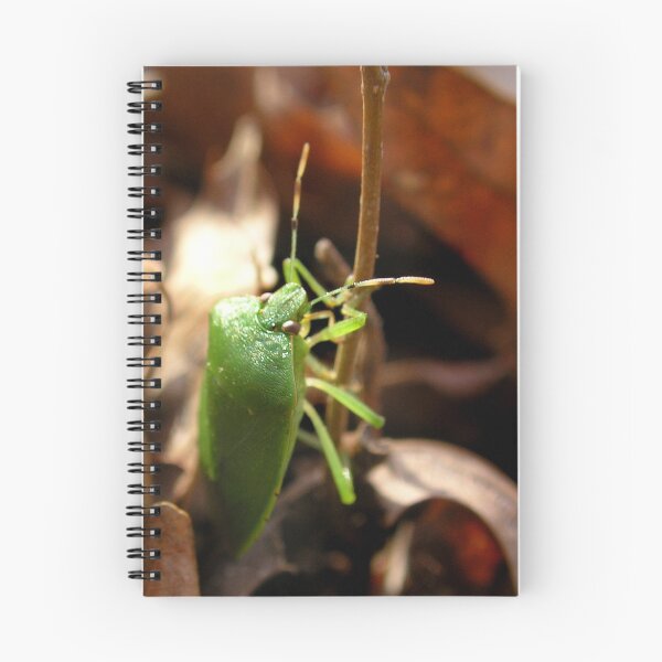 Item preview, Winter Bug designed and sold by Carla Wick/Jandelle Petters.