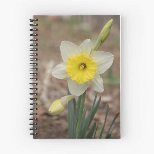 Item preview, Spring Already?.....Yes! designed and sold by TxGimGim.