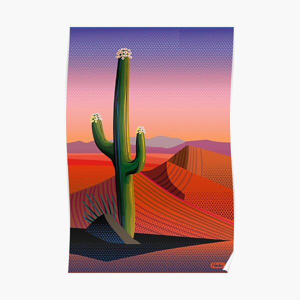 Saguaro Blossoms Poster