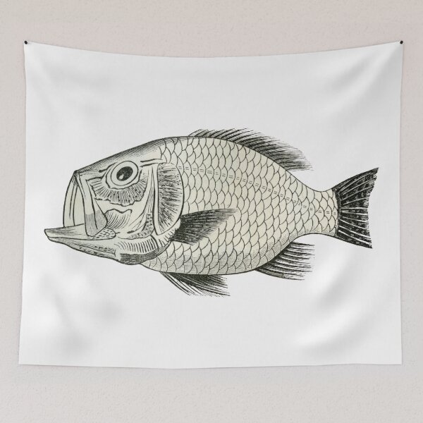 Item preview, The Old Fossil Fish  designed and sold by taspaul.