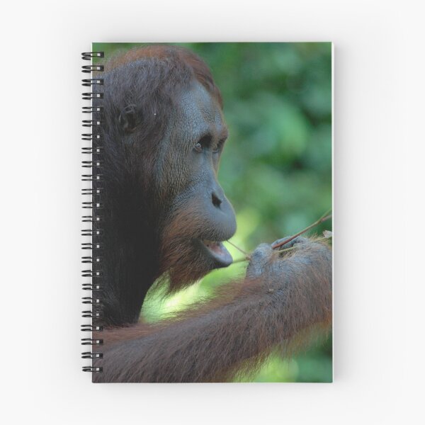 Item preview, Orangutang designed and sold by westgoeseast.