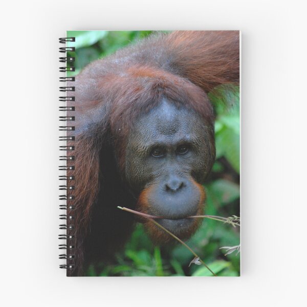 Item preview, Orangutang designed and sold by westgoeseast.