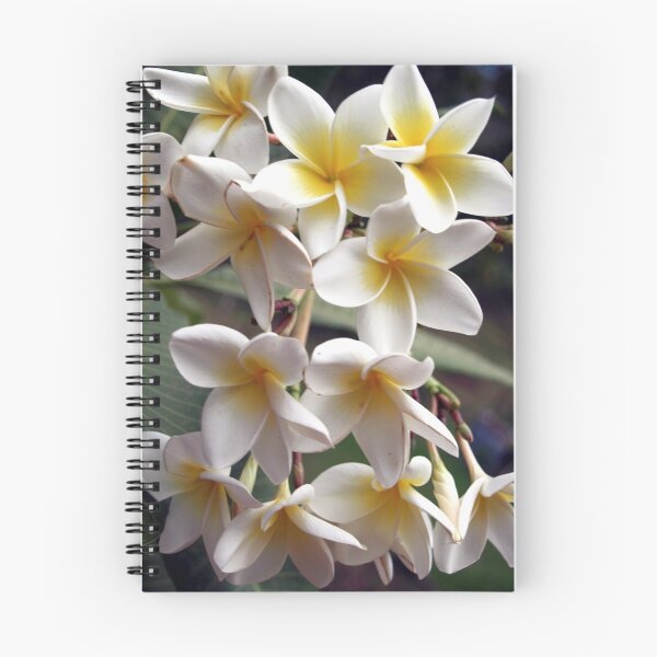 Item preview, Flowers as seen in Puriscal designed and sold by Guy C. André Tschiderer.