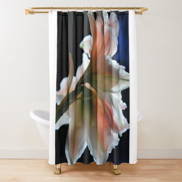 Spotlight shower store curtain